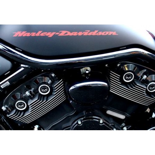 Assorted Domed Cam Covers